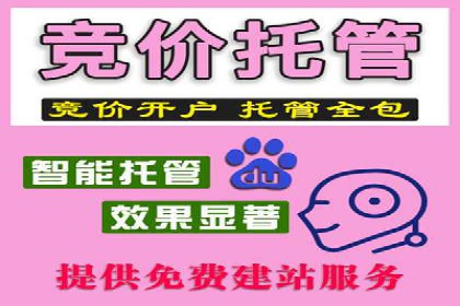 百度竞价广告投放成功案例解析